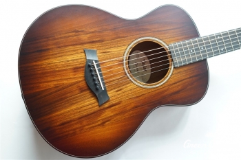 GS Mini-e KOA Plus
